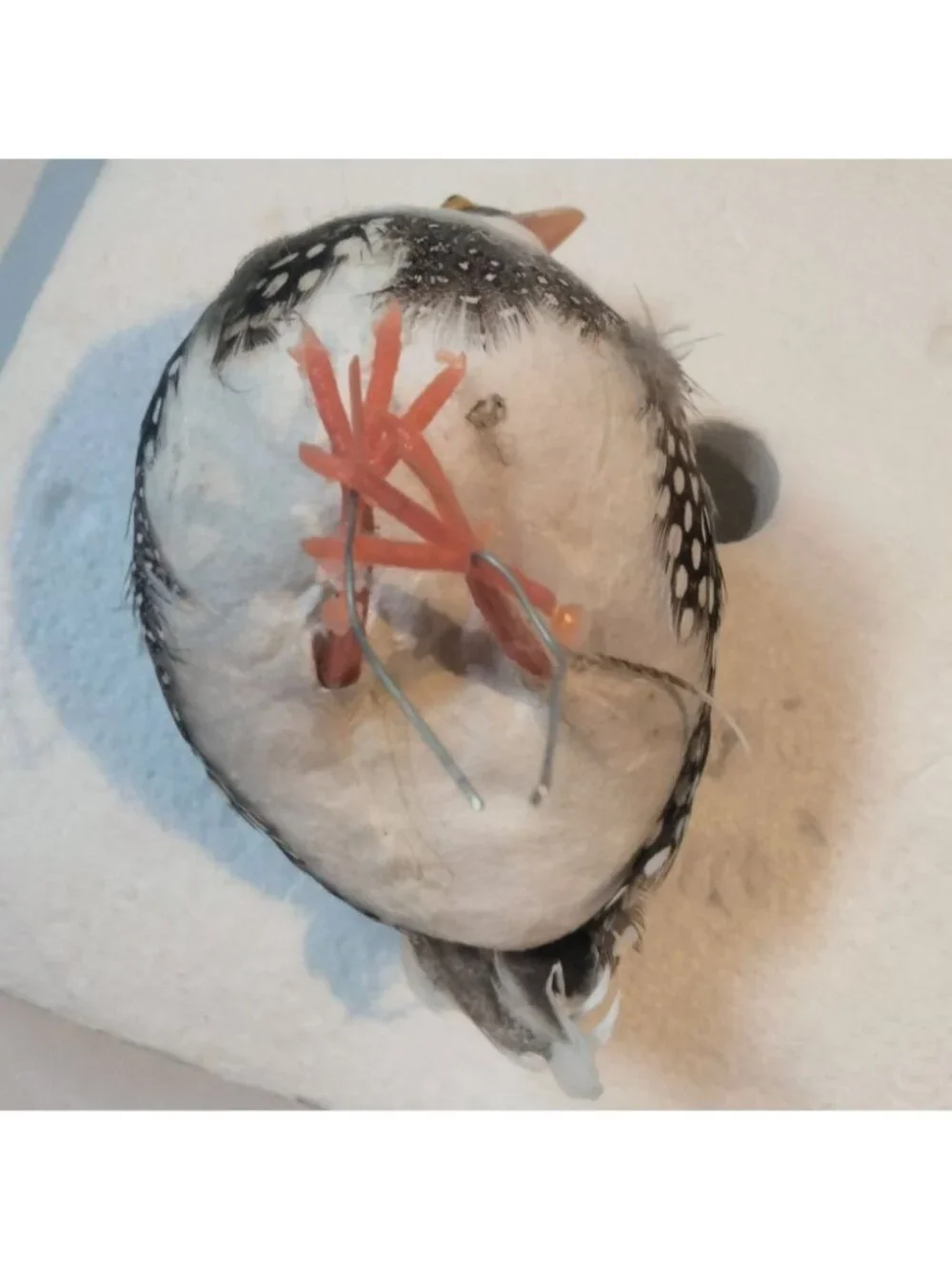 Decorative Faux Bird Figurine Quail Partridge Feathers Lot 3